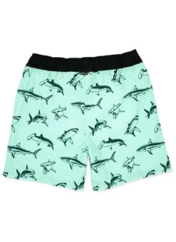 Feather 4 Arrow Boys' Swim Trunks (Baby) 24 Feather 4 Arrow Boys' Swim Trunks (Baby) -Swimwear Outlet 8637289529512 beachglass 2a
