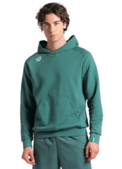 Arena Unisex Team Panel Pullover Hoodie -Swimwear Outlet 8642732163240 mangrove 1a