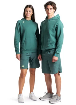 Arena Unisex Team Panel Pullover Hoodie -Swimwear Outlet 8642732163240 mangrove 3a