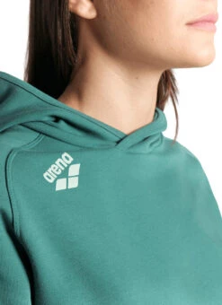 Arena Unisex Team Panel Pullover Hoodie -Swimwear Outlet 8642732163240 mangrove 7a