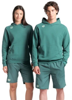 Arena Unisex Team Panel Pullover Hoodie -Swimwear Outlet 8642732163240 mangrove 8a
