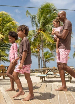 Snapper Rock Boys' Chocolate Sustainable Short Sleeve Rashguard (Toddler, Little Kid, Big Kid) 16 Snapper Rock Boys' Chocolate Sustainable Short Sleeve Rashguard (Toddler, Little Kid, Big Kid) -Swimwear Outlet 8647986249896 brown 6a