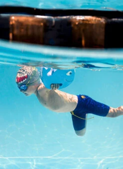 FINIS Floatie Friends 27 FINIS Floatie Friends -Swimwear Outlet 8802475901096 bluewhalelevel1 4a