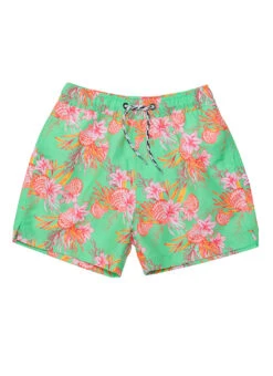 Snapper Rock Boys' Coastal Shells Swim Trunk (Toddler, Little Kid, Big Kid) 11 Snapper Rock Boys' Coastal Shells Swim Trunk (Toddler, Little Kid, Big Kid) -Swimwear Outlet 8857717375144 green 2a