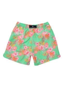 Snapper Rock Boys' Coastal Shells Swim Trunk (Toddler, Little Kid, Big Kid) 12 Snapper Rock Boys' Coastal Shells Swim Trunk (Toddler, Little Kid, Big Kid) -Swimwear Outlet 8857717375144 green 3a